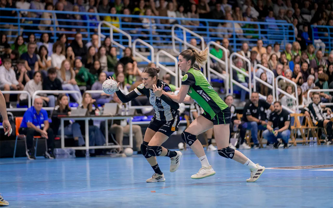 BM Costa del Sol - Beti-onak