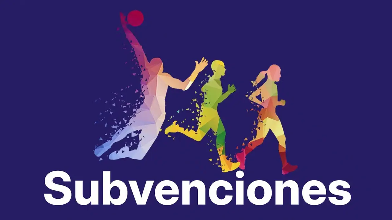 Diputación de Málaga Subvenciones